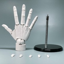 Flexible Hand Model with Stand