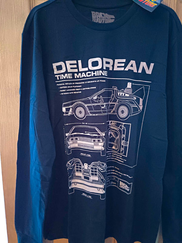 Back the future delorean - to,