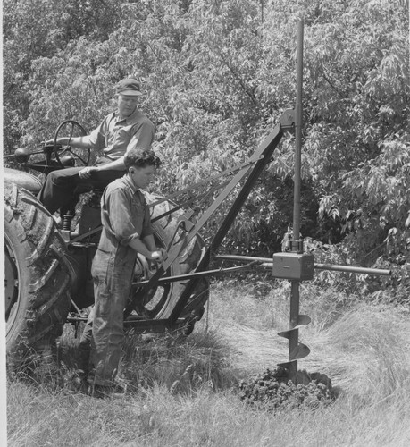 1950s 8x10 men tractor - 8x10,