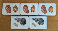 5 x VINTAGE MEBEL MELAMINE SNACK TRAYS NAUTICAL OCEAN SEA SHELLS MADE IN ITALY 