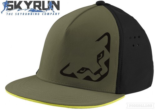 Dynafit dst tech trucker cap - dst,