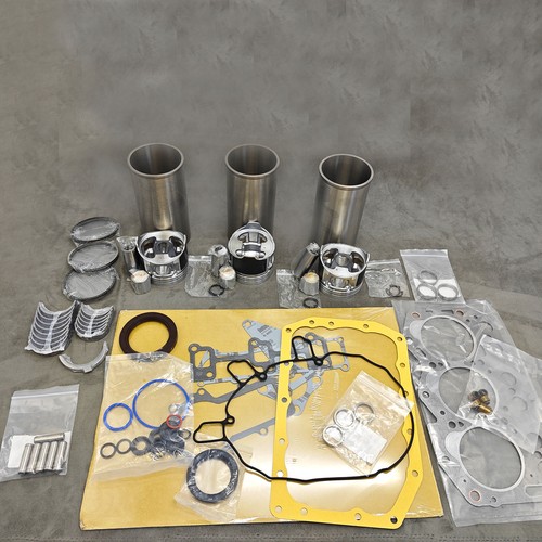 New overhaul rebuild kit - rebuild,