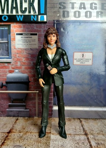 Wwe elite miss - miss, elizabeth