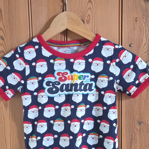 Little bird santa - bird,