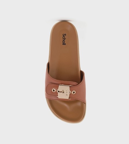 Scholl mules cognac pescura - scholl,