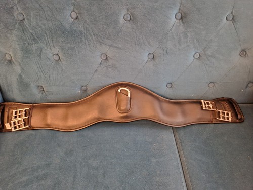 Collegiate anatomic dressage - collegiate,