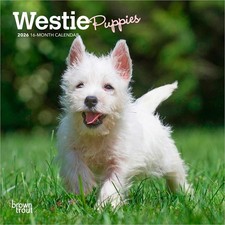 West Highland White Terrier