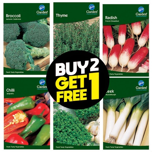 Vegetable seeds - vegetable,