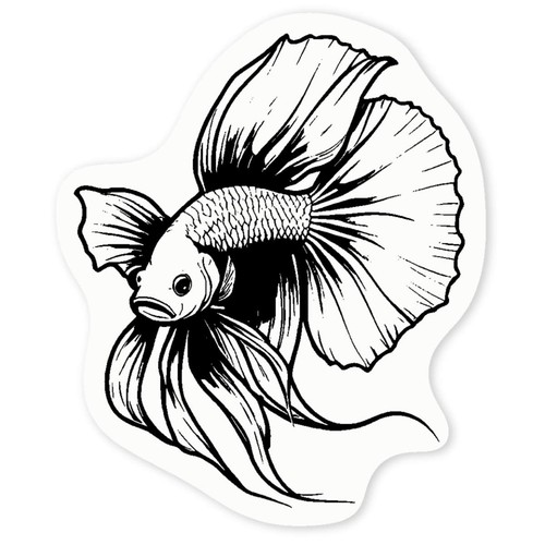 Siamese fighting fish clear - 'siamese,