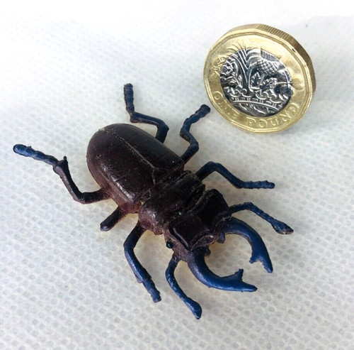 Stag beetle insect - insect, toy