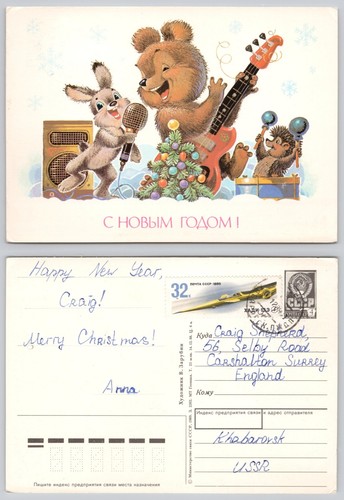C35469 teddy bear - c35469, group
