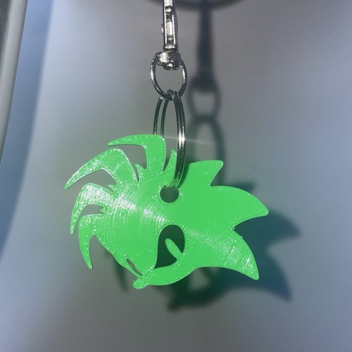 Manic the hedgehog green - the,