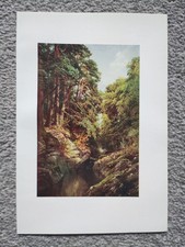 A Wooded Gorge, Killin