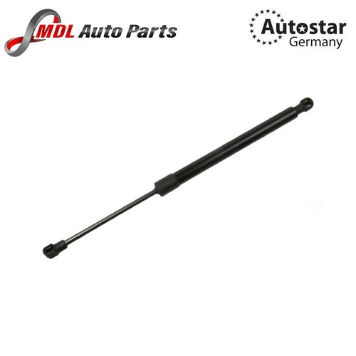 Trunk gas spring - gas, shock