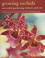 Growing Orchids: Successful