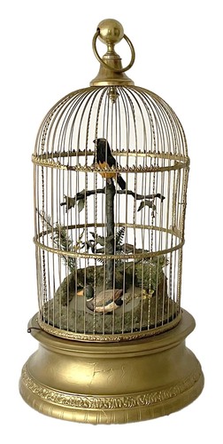 Rare singing bird - rare, cage