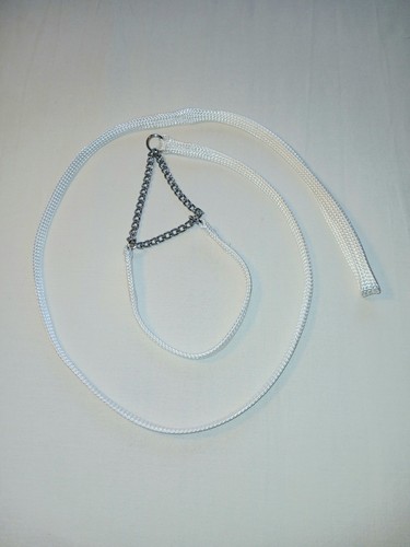Collar size show lead - size,