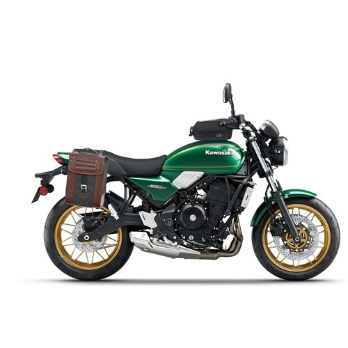 Shad side bag - side, kawasaki