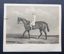 Antique 1842 Print - Horse