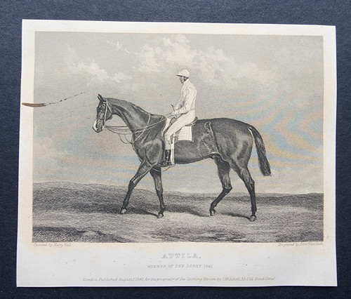 Antique 1842 print - 1842, horse