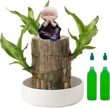 Mini Brazil Lucky Wood, Brazil