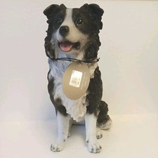 Sheepdog Collie Dog - Sitting