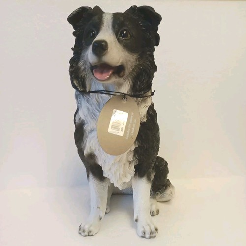 Sheepdog collie dog sitting - dog,