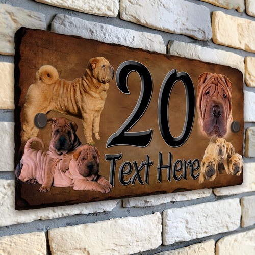 Shar pei house - house, number