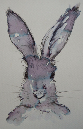 Ink drawing hare watercolour