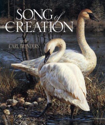 Song creation 0801011981 - of,