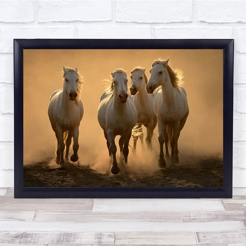 Quartet camargue france white - quartet,