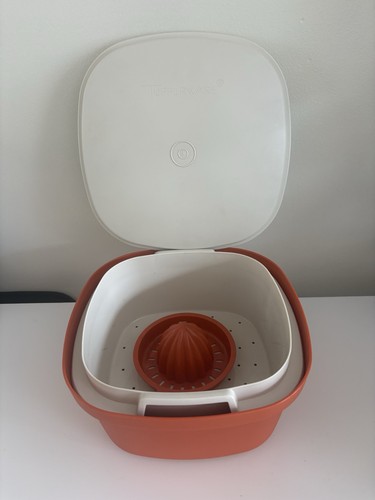 Vintage tupperware steamer - vintage,