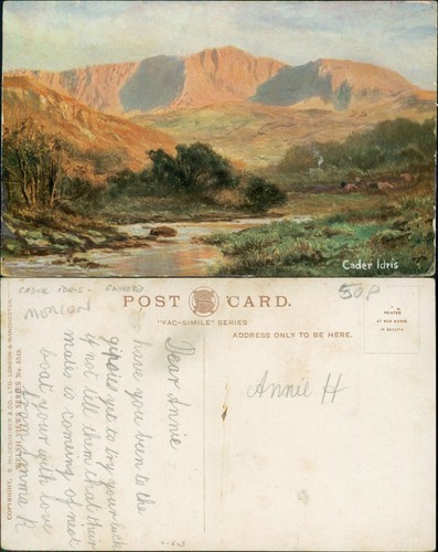 Cader idris hildesheimer - cader,