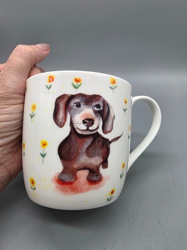 Rose england dachshund fine - rose, of