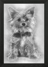 Yorkshire terrier puppy si