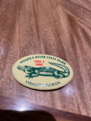 Vintage pin button - pin,