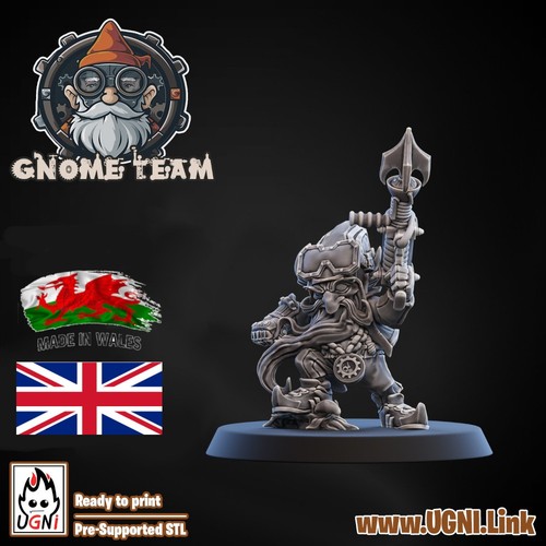 Fantasy football gnome - ,
