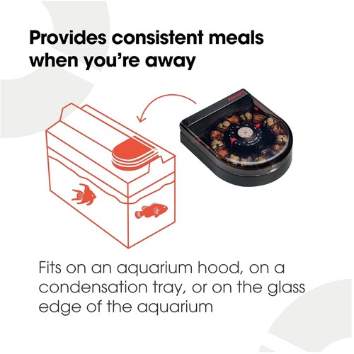 Aquarium fish feeder 14 - aquarium,