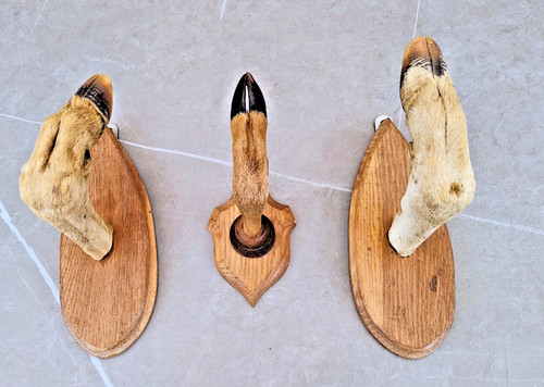 Pair big vintage - of,