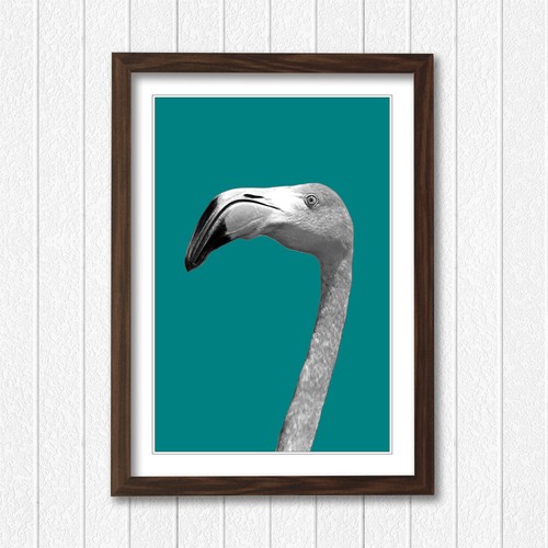Flamingo black and - flamingo,