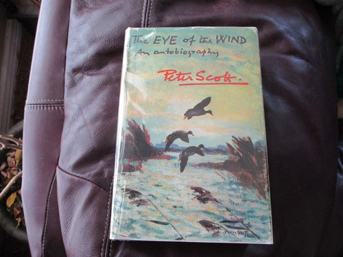 The eye wind - the,