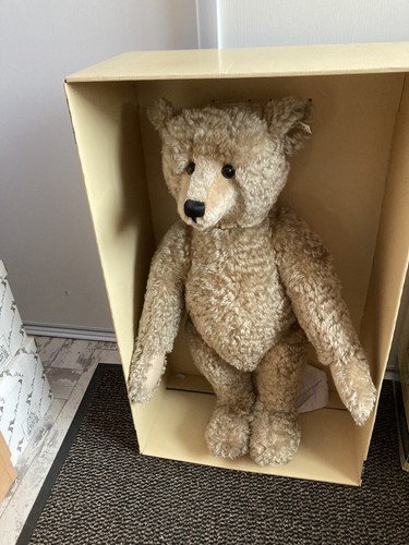 Steiff growler teddy bear - ,