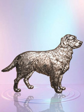 Metallic Labrador Retriever