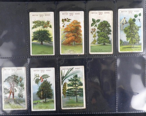 British trees trade cards - british,
