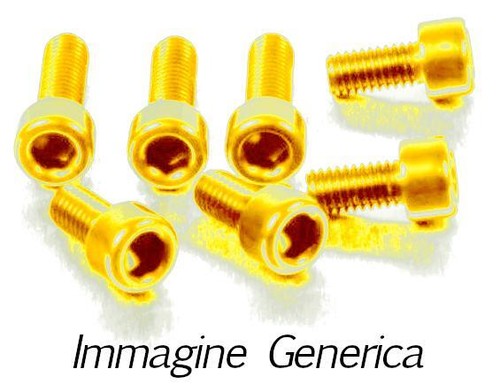 Evotech ergal gold aprilia - ergal,
