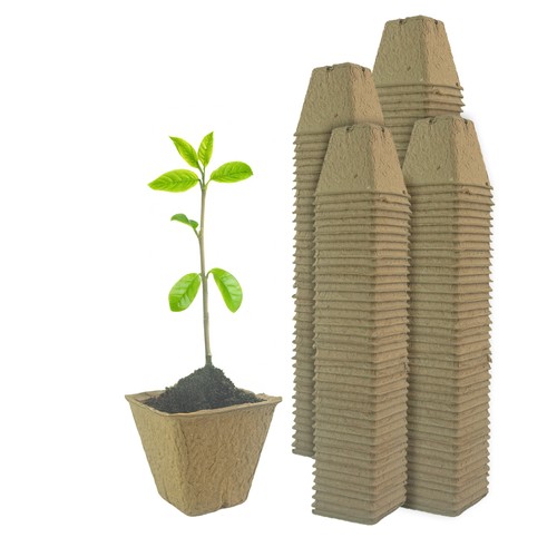 Compostable paper plant - compostable, pots