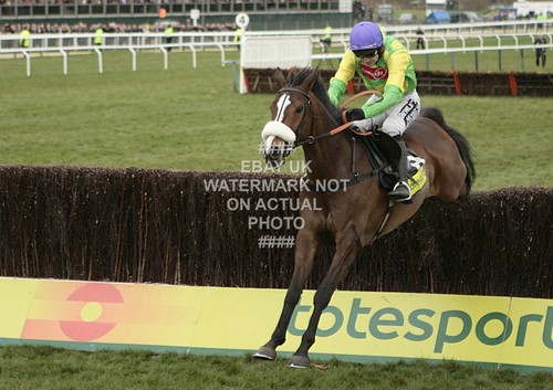 Kauto star ruby walsh 2009 - star,