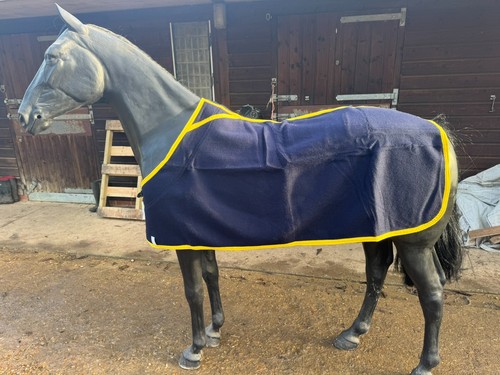 Clearance shires wool - -,