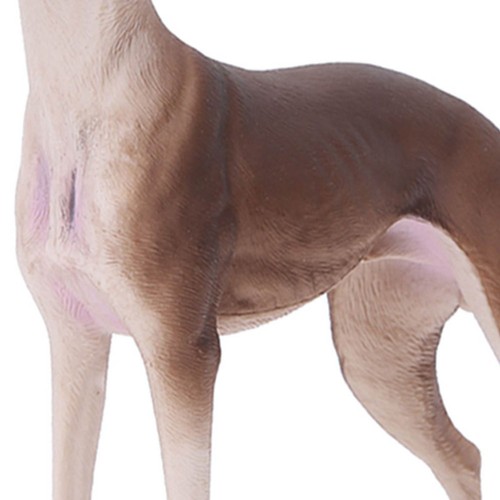 Simulation brown greyhound - —simulation,