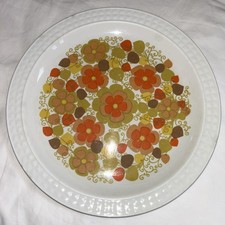 Retro Dinner Plates By Pontesa The Young Range, Vintage 10.5”